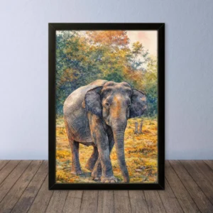 Cornice Quadro Disegno Acquarello su Elefanti (Animali e Natura) Arte [S1] 009