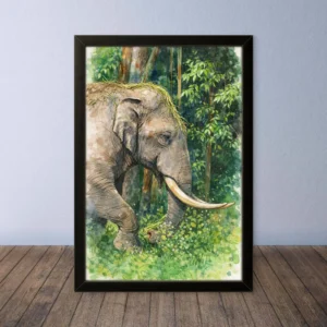Cornice Quadro Disegno Acquarello su Elefanti (Animali e Natura) Arte [S1] 010